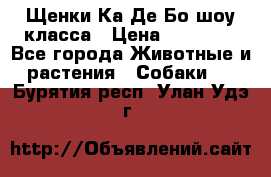 Щенки Ка Де Бо шоу класса › Цена ­ 60 000 - Все города Животные и растения » Собаки   . Бурятия респ.,Улан-Удэ г.